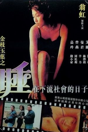 Undercover Girls's poster