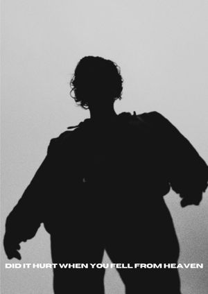 Did It Hurt When You Fell From Heaven's poster
