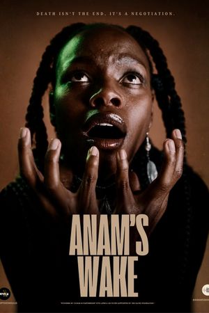 Anam's Wake's poster image