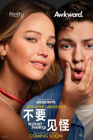 No Hard Feelings's poster