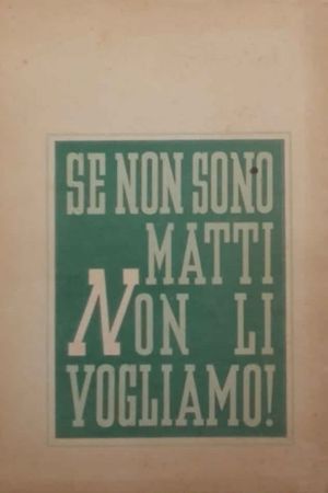 Se non son matti non li vogliamo's poster