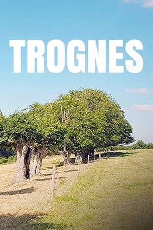 Trognes, les arbres aux mille visages's poster
