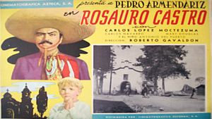 Rosauro Castro's poster