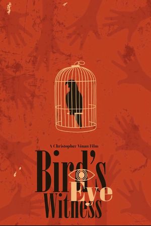 Bird's Eye Witness's poster
