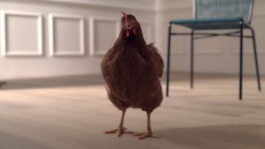 The Eye of the Hen's poster