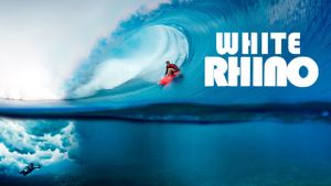 White Rhino's poster