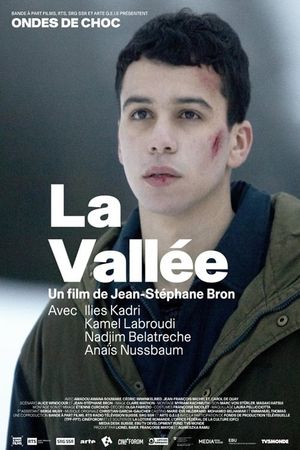 La Vallée's poster