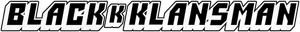 BlacKkKlansman's poster
