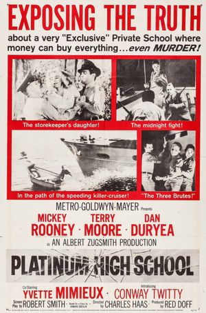 Platinum High School's poster