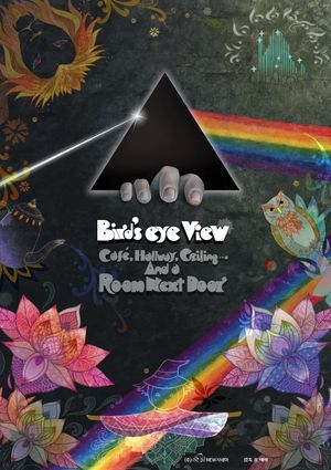 Bird's Eye View's poster