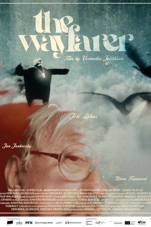 The Wayfarer's poster