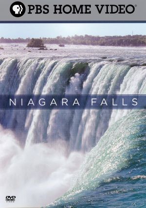 Niagara Falls's poster