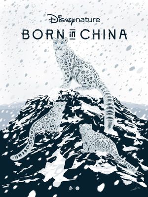 Born in China's poster