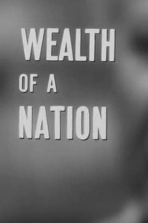Wealth of a Nation's poster