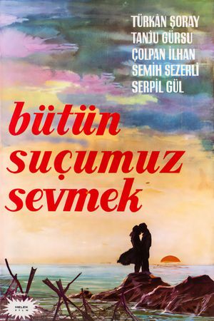 Bütün suçumuz sevmek's poster