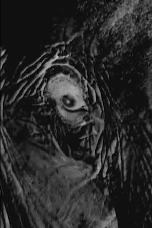 Topsy's poster image