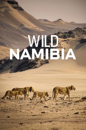 Wild Namibia's poster image