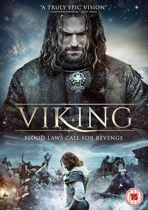 Viking's poster
