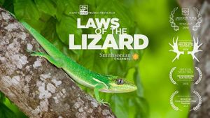 Laws of the Lizard's poster