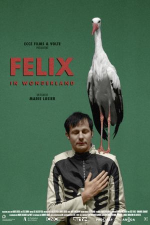 Felix in Wonderland's poster