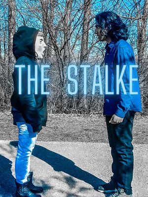 The Stalker's poster