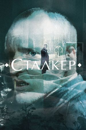 Stalker's poster