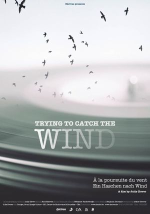 Trying to Catch the Wind's poster