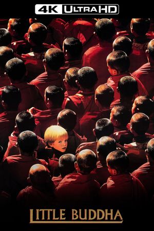 Little Buddha's poster