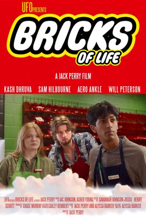 Bricks of Life's poster