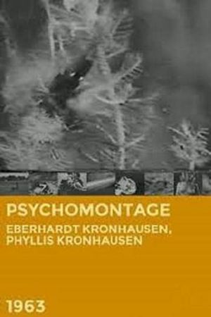 Psychomontage's poster