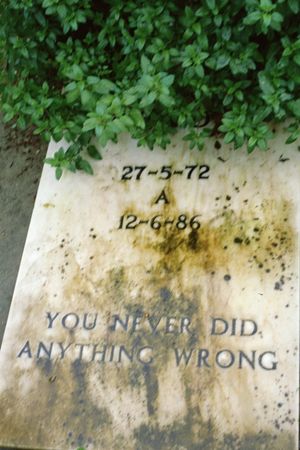 You never did anything wrong, Part 1's poster