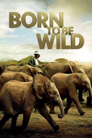 Born to Be Wild's poster