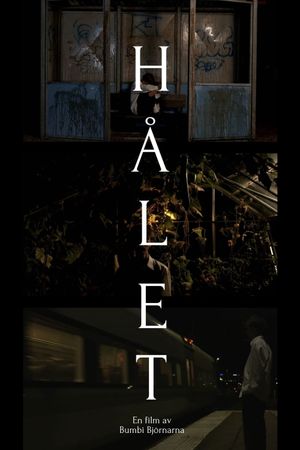 Hålet's poster