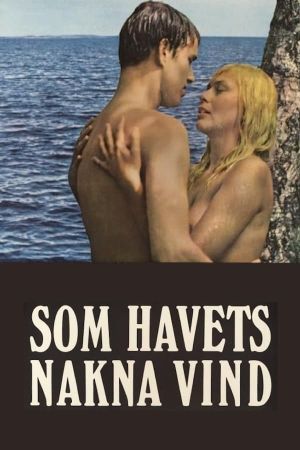 One Swedish Summer's poster