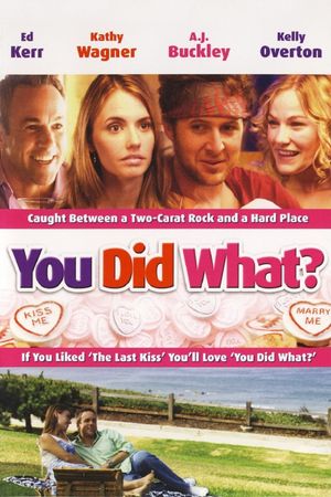 You Did What?'s poster