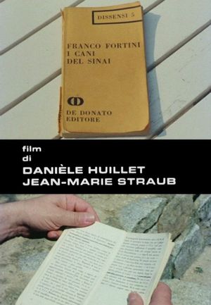 Fortini/Cani's poster