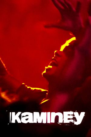 Kaminey's poster