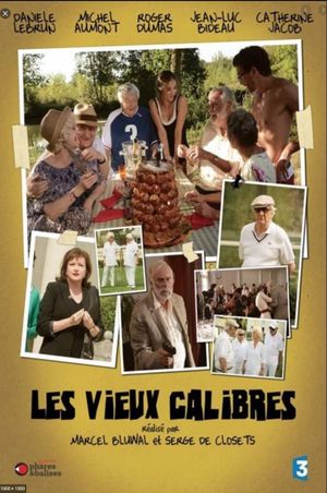 Les Vieux Calibres's poster