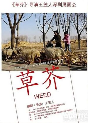 Weed's poster