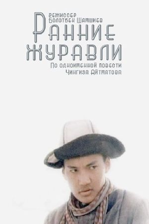 Rannie zhuravli's poster