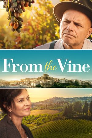 From the Vine's poster