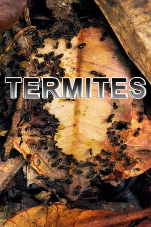 Termites: The Inner Sanctum's poster