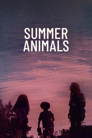 Summer Animals's poster