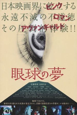 The Eye's Dream's poster
