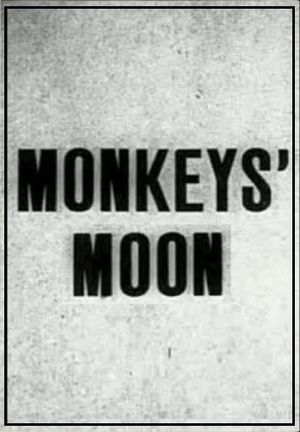 Monkey's Moon's poster