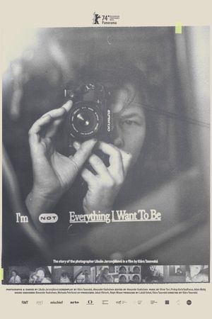 I'm Not Everything I Want to Be's poster