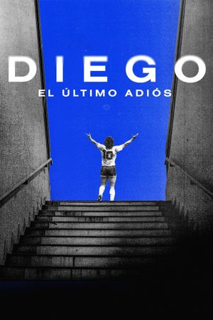 Diego: The Last Goodbye's poster