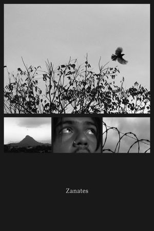 Zanates's poster