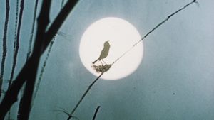 The Emperor's Nightingale's poster
