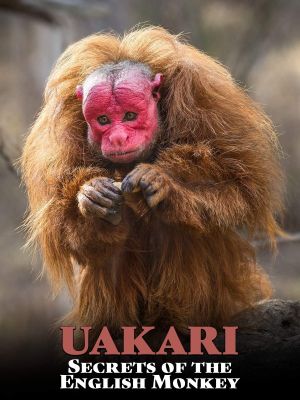 Uakari: Secrets of the English Monkey's poster